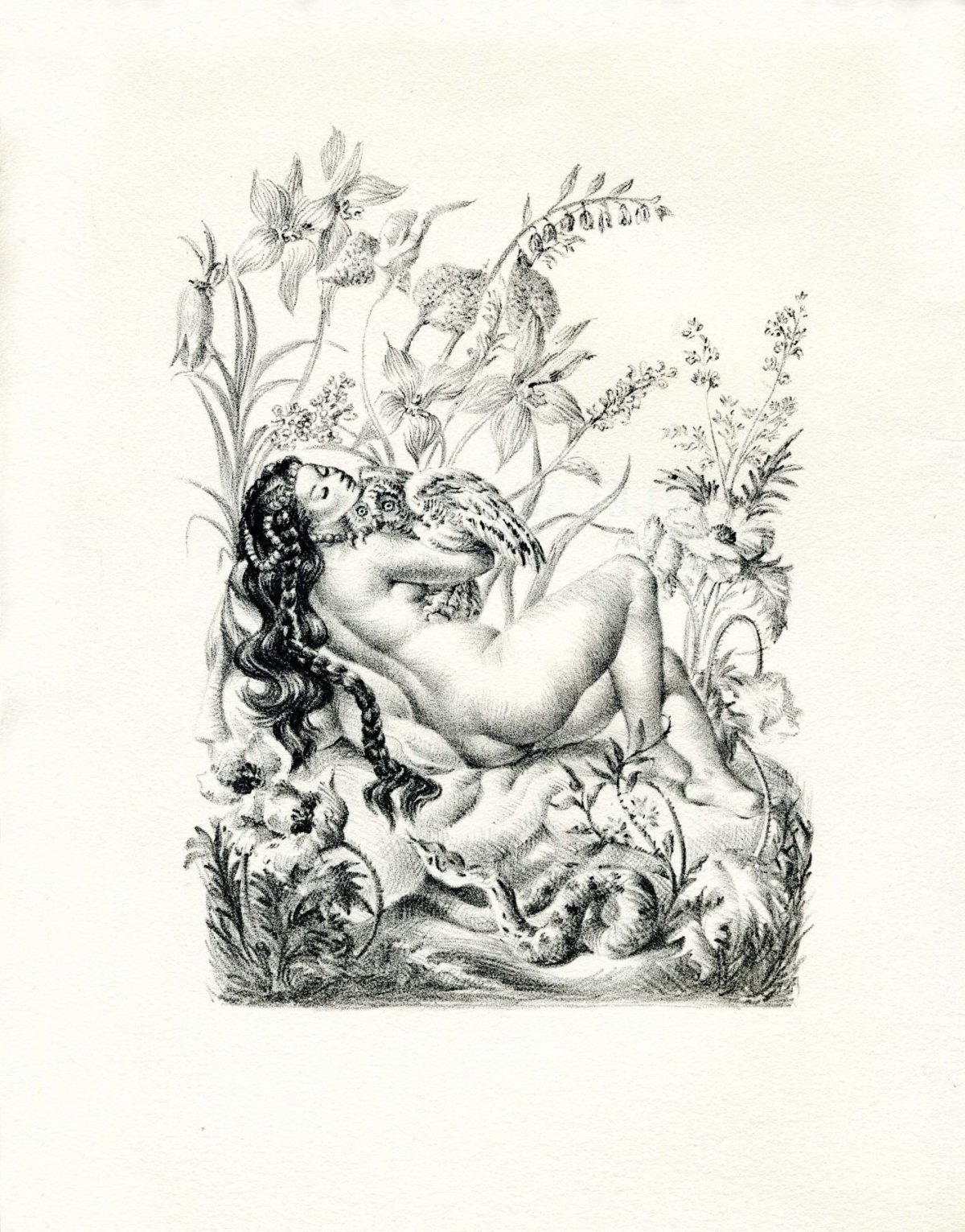 Pagina 66