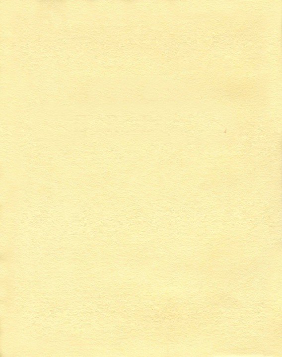 Pagina 100