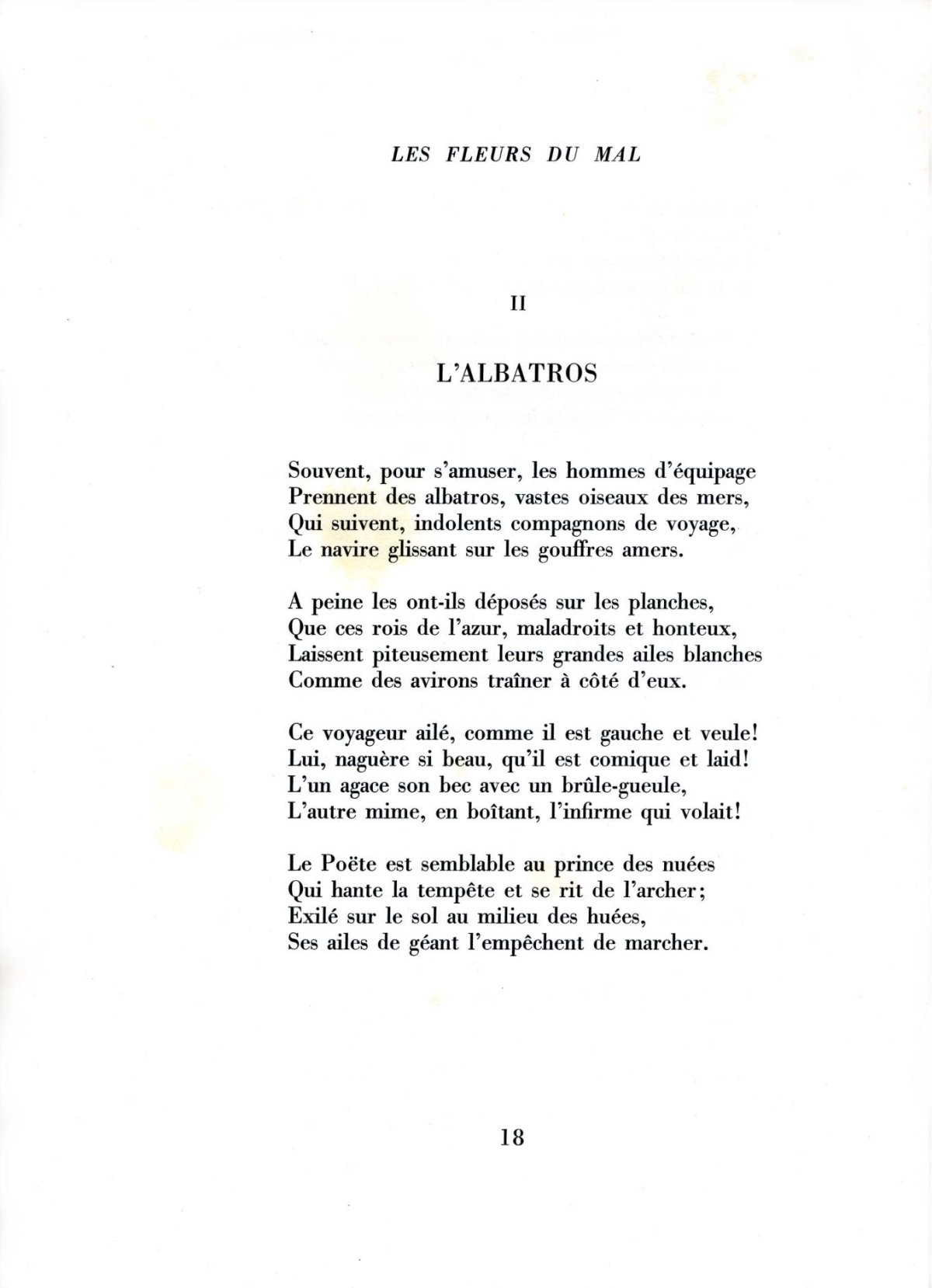 Pagina 6