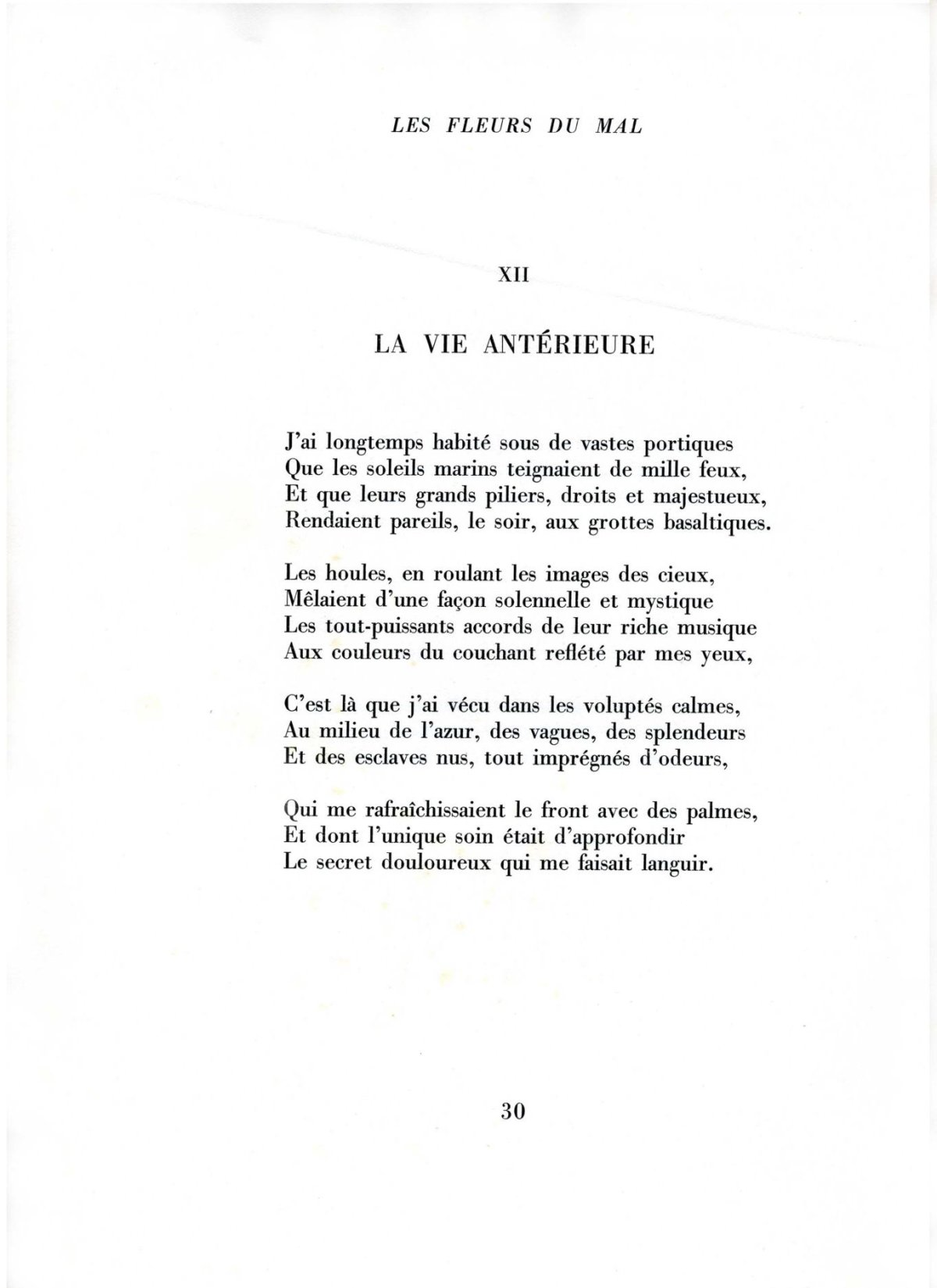 Pagina 8