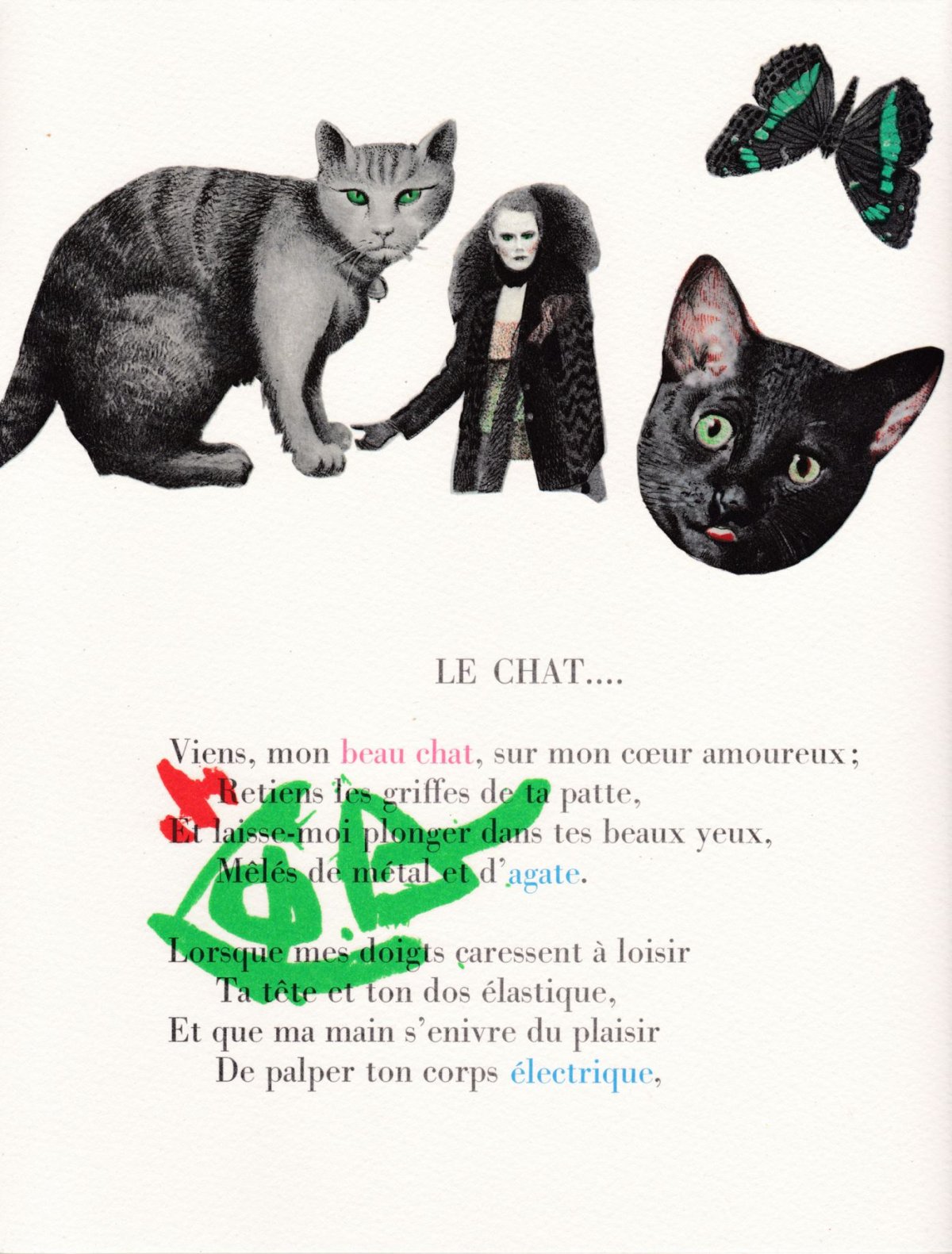 Pagina 12