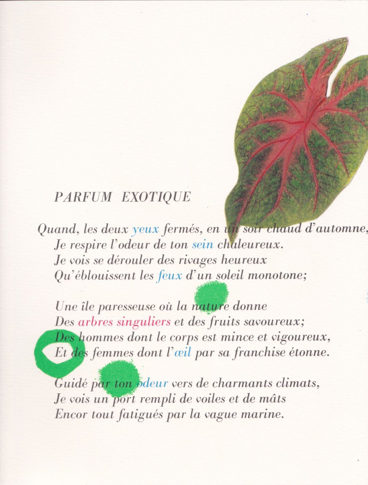 Pagina 41