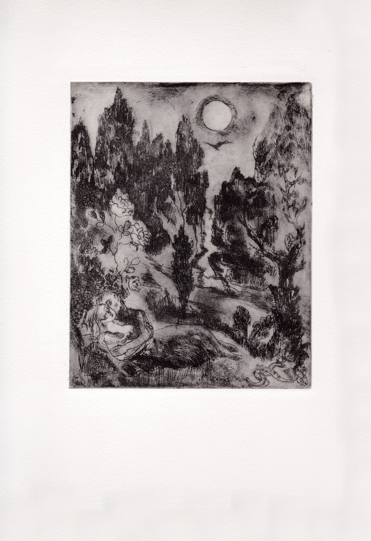 Pagina 14
