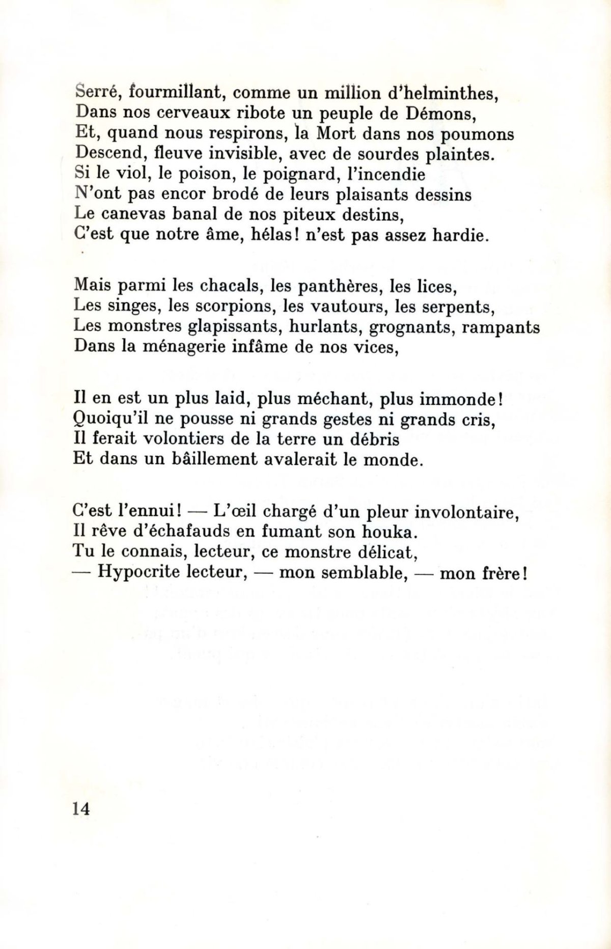 Pagina 6