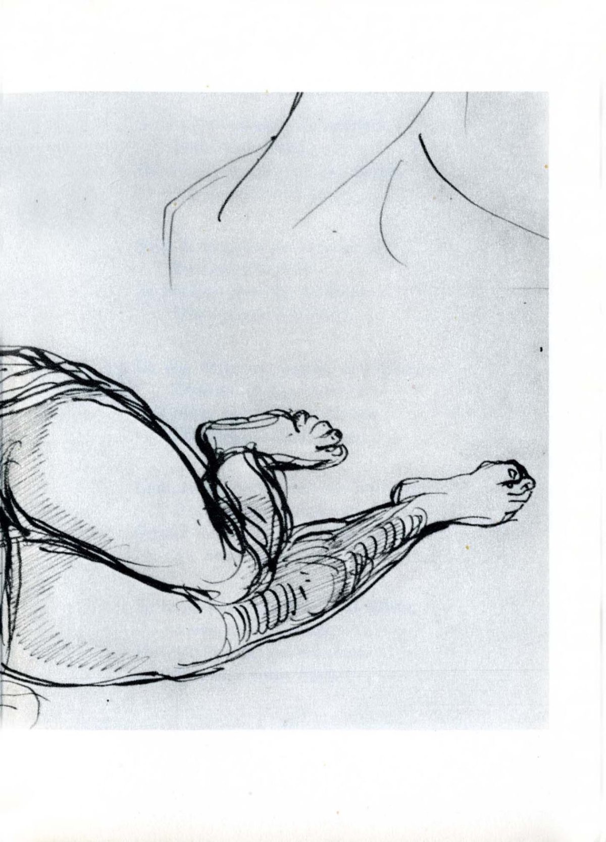 Pagina 13