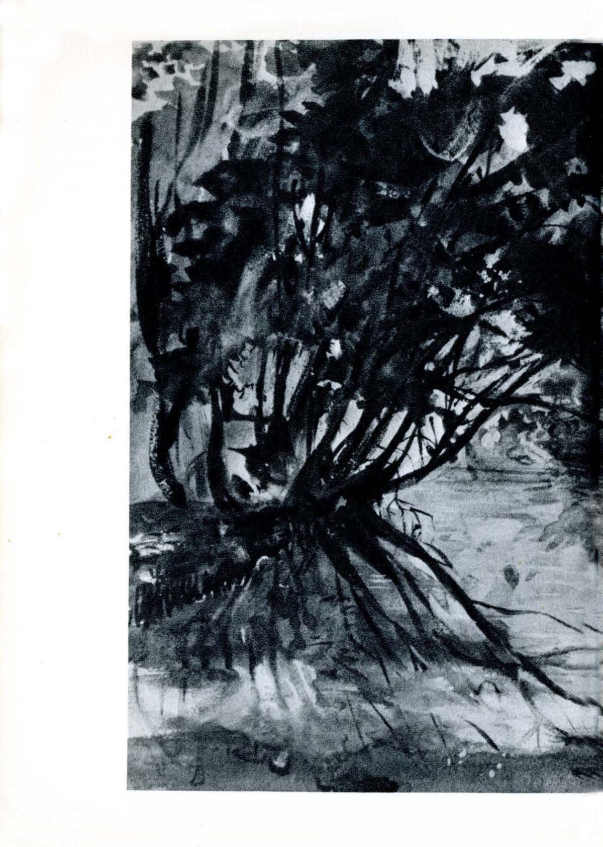 Pagina 28