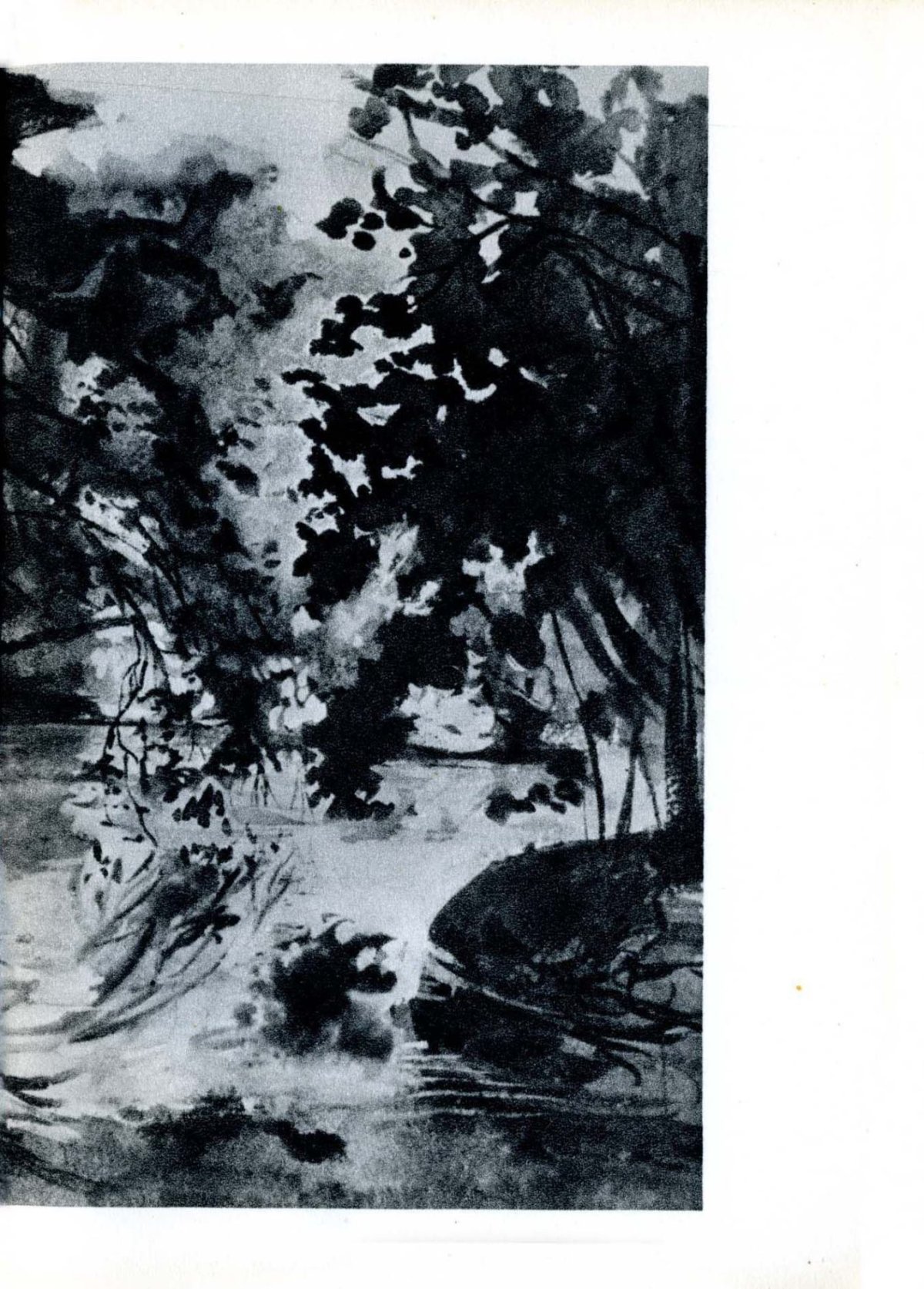 Pagina 29
