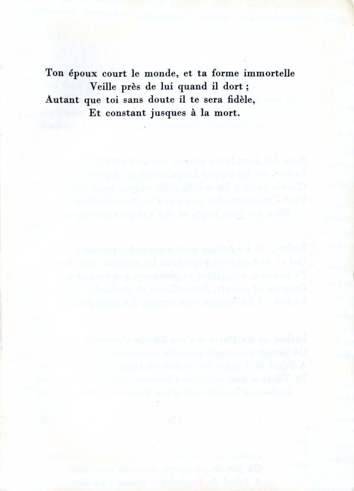 Pagina 41