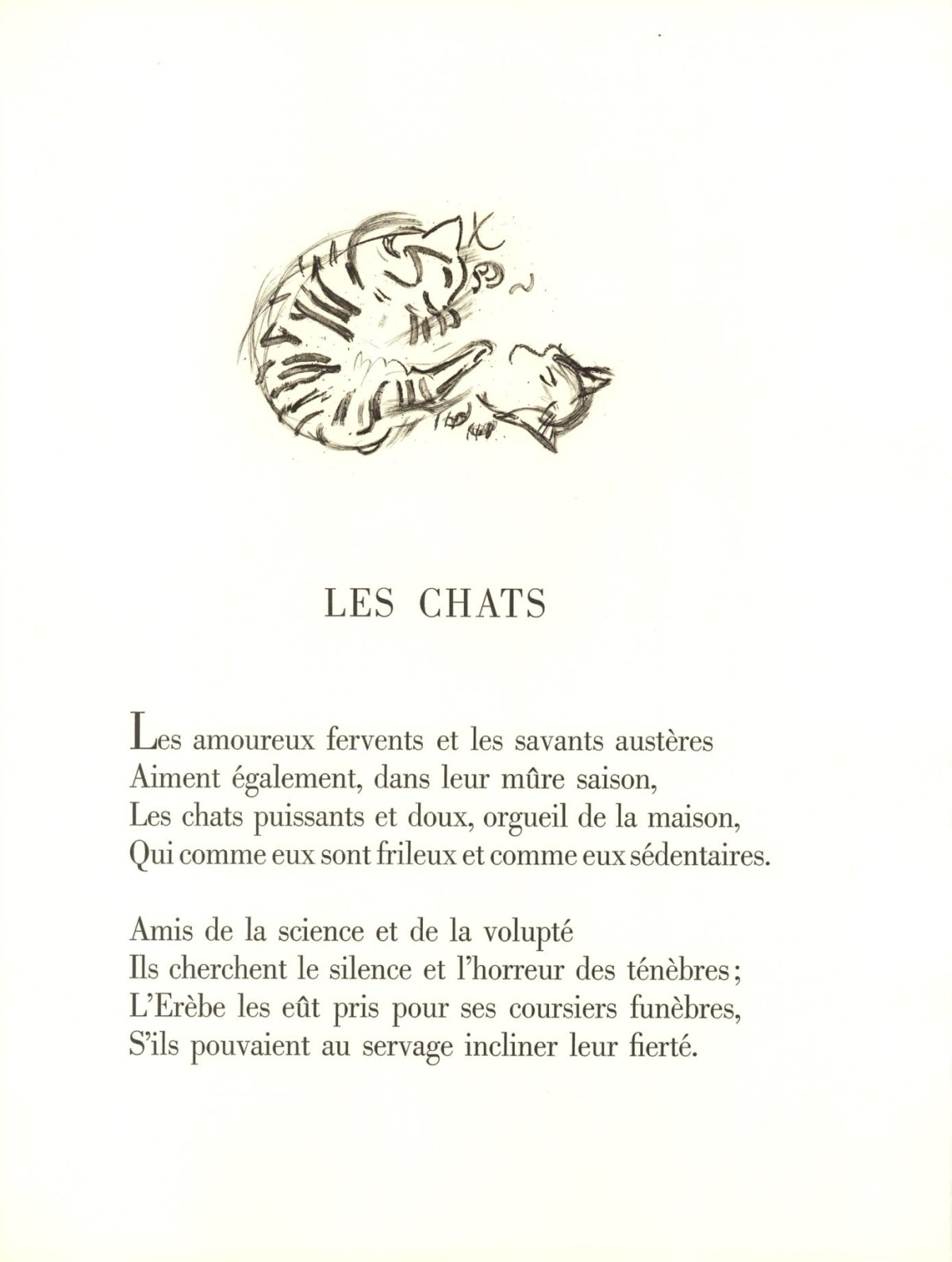Pagina 19