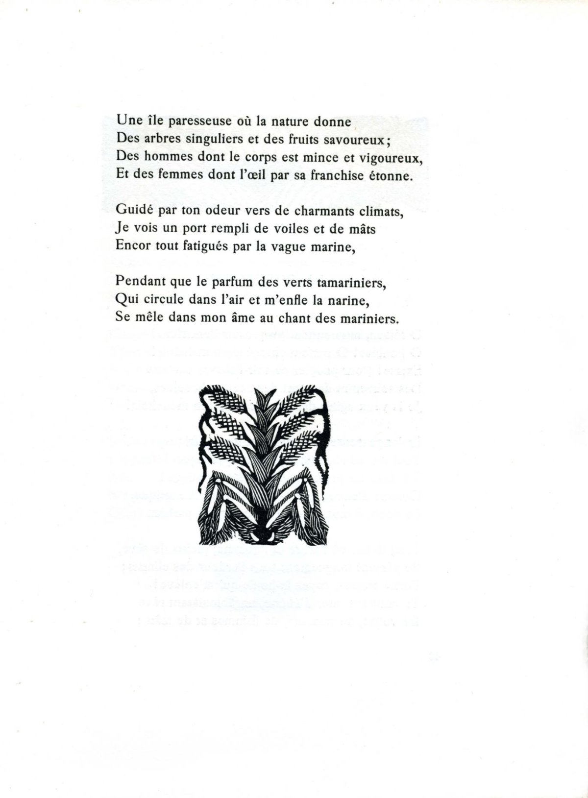 Pagina 11