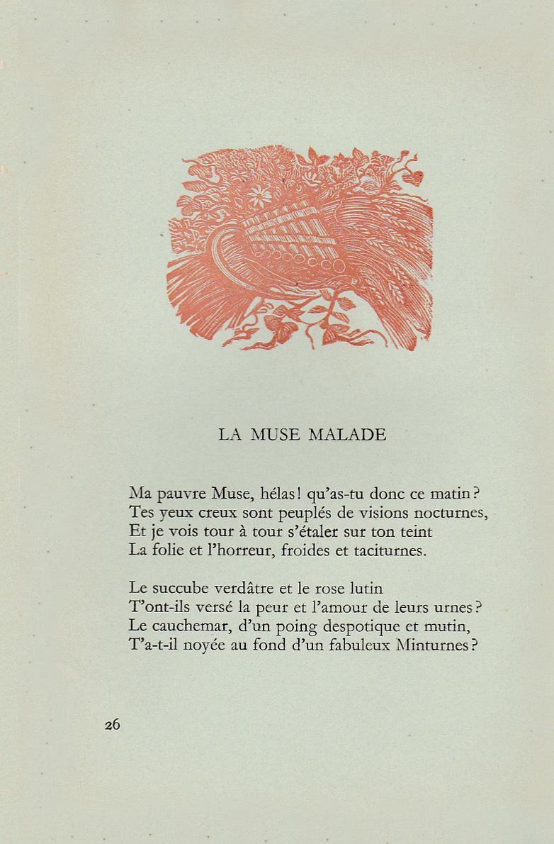Pagina 12