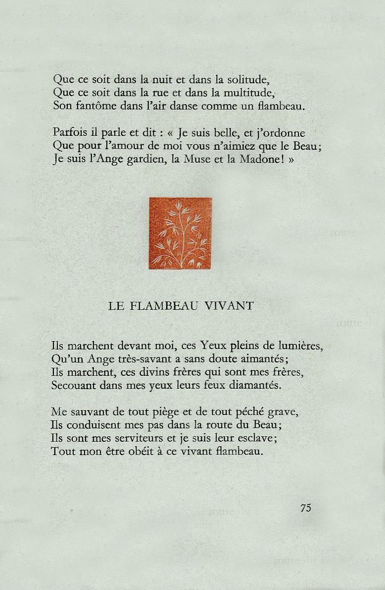Pagina 40