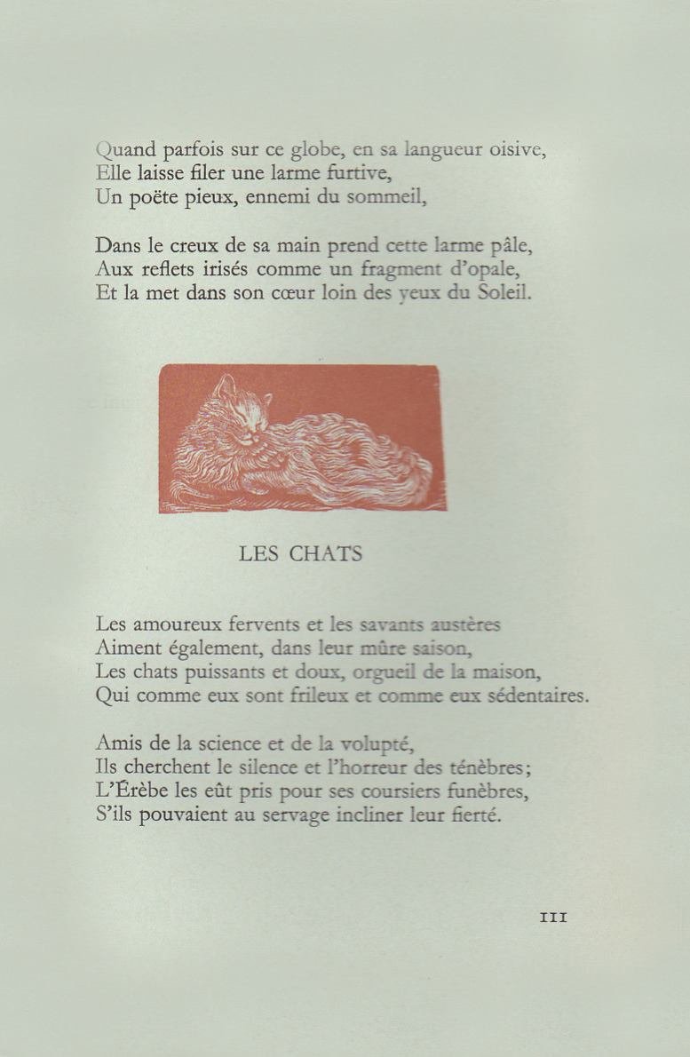 Pagina 54