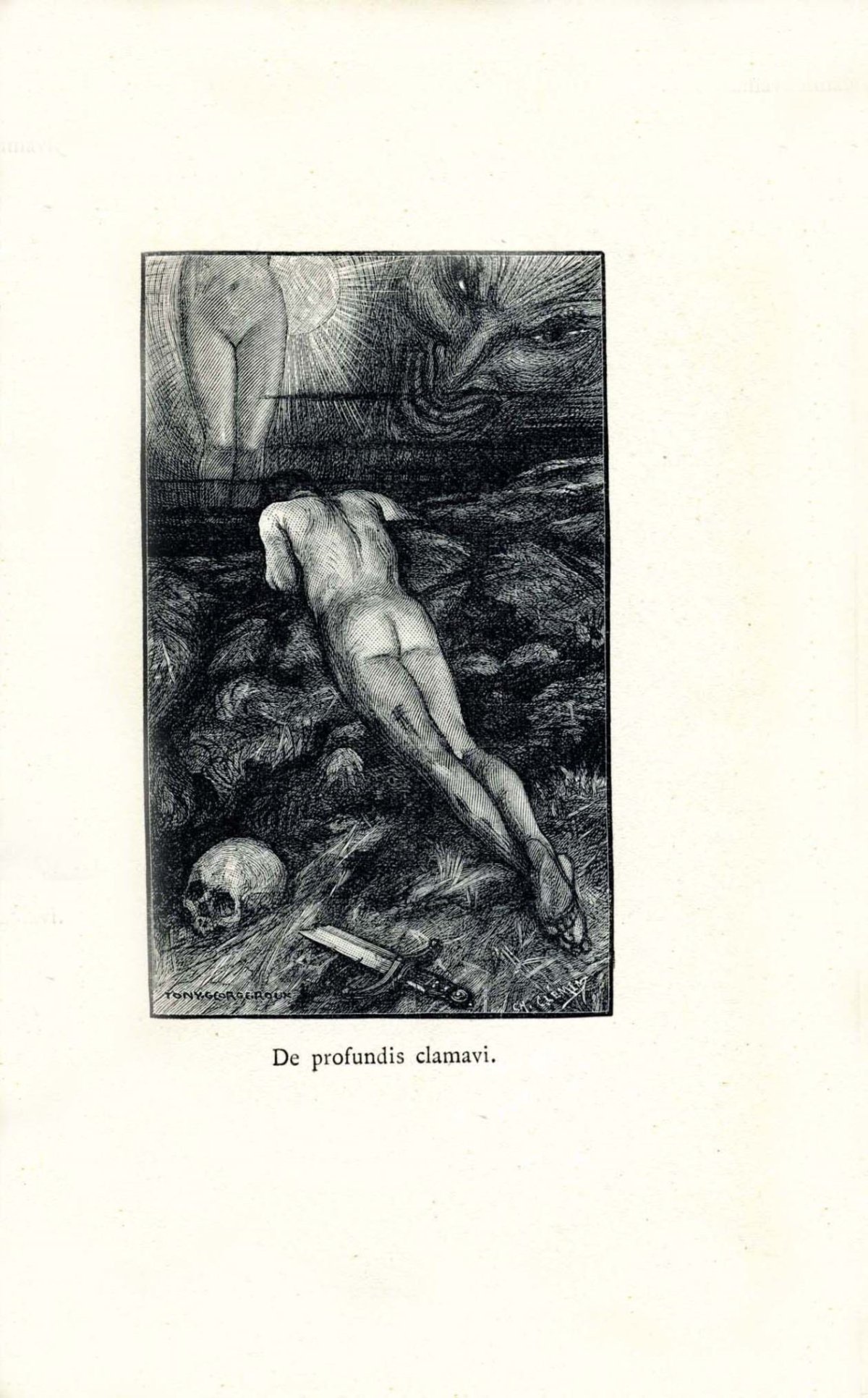 Pagina 7