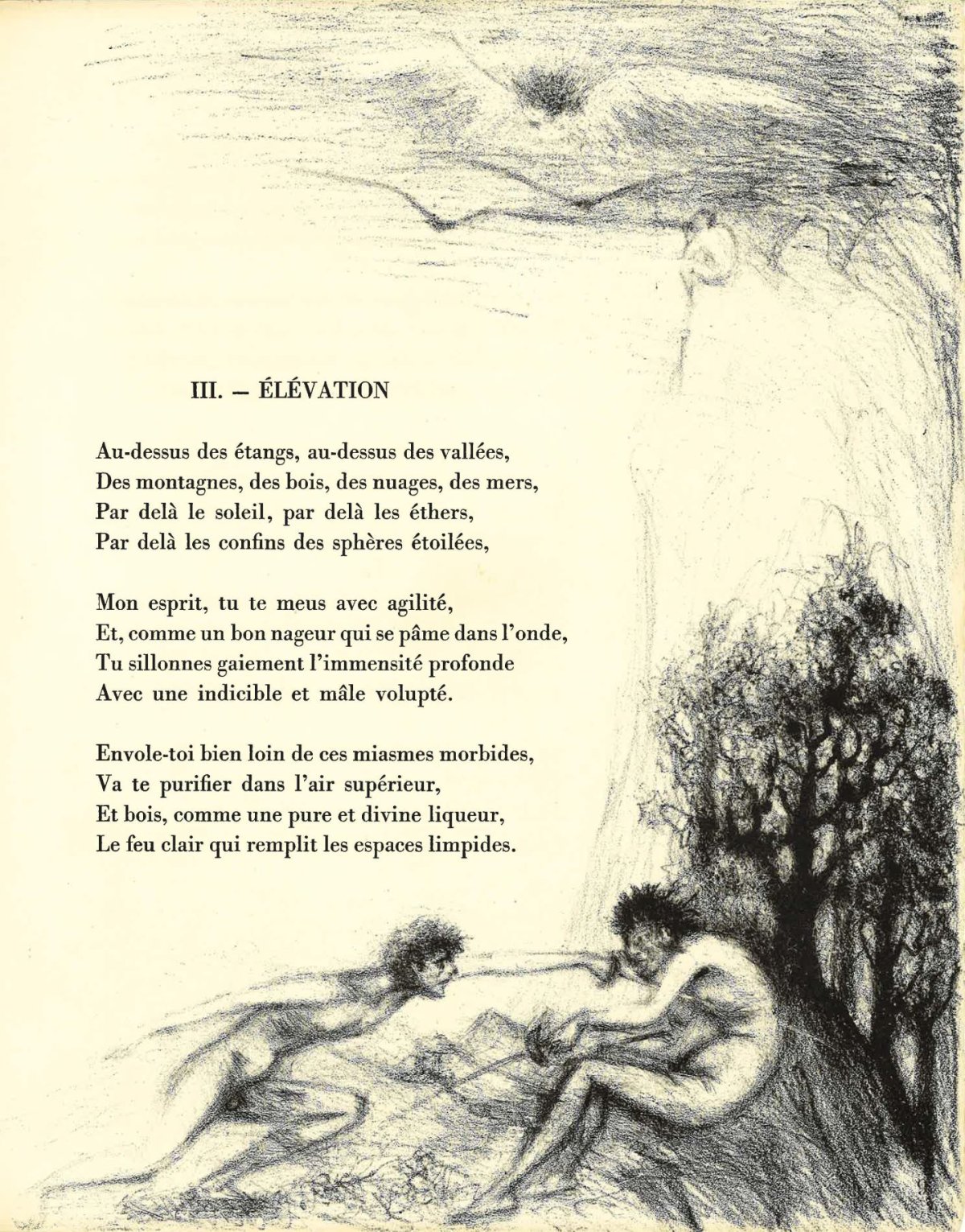 Pagina 15