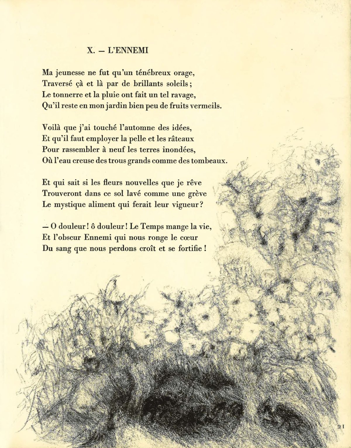 Pagina 27