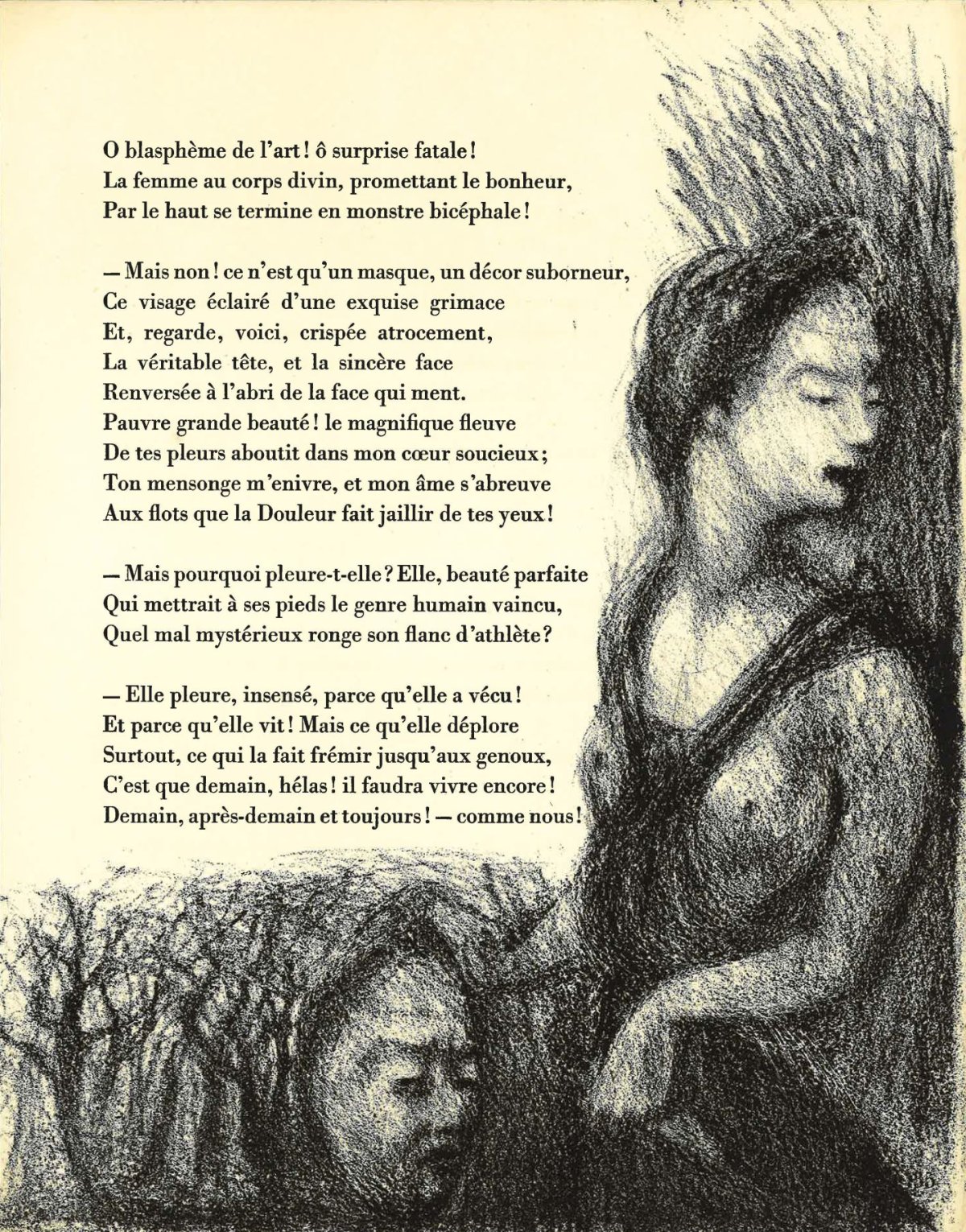 Pagina 41