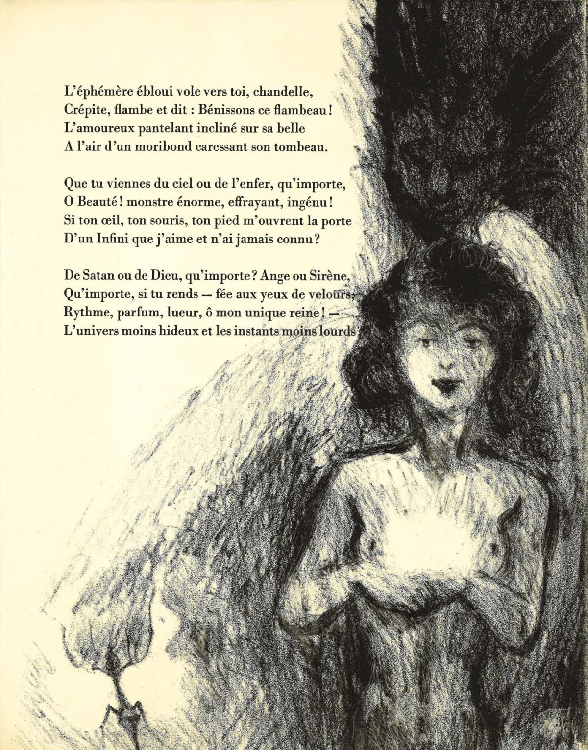 Pagina 43