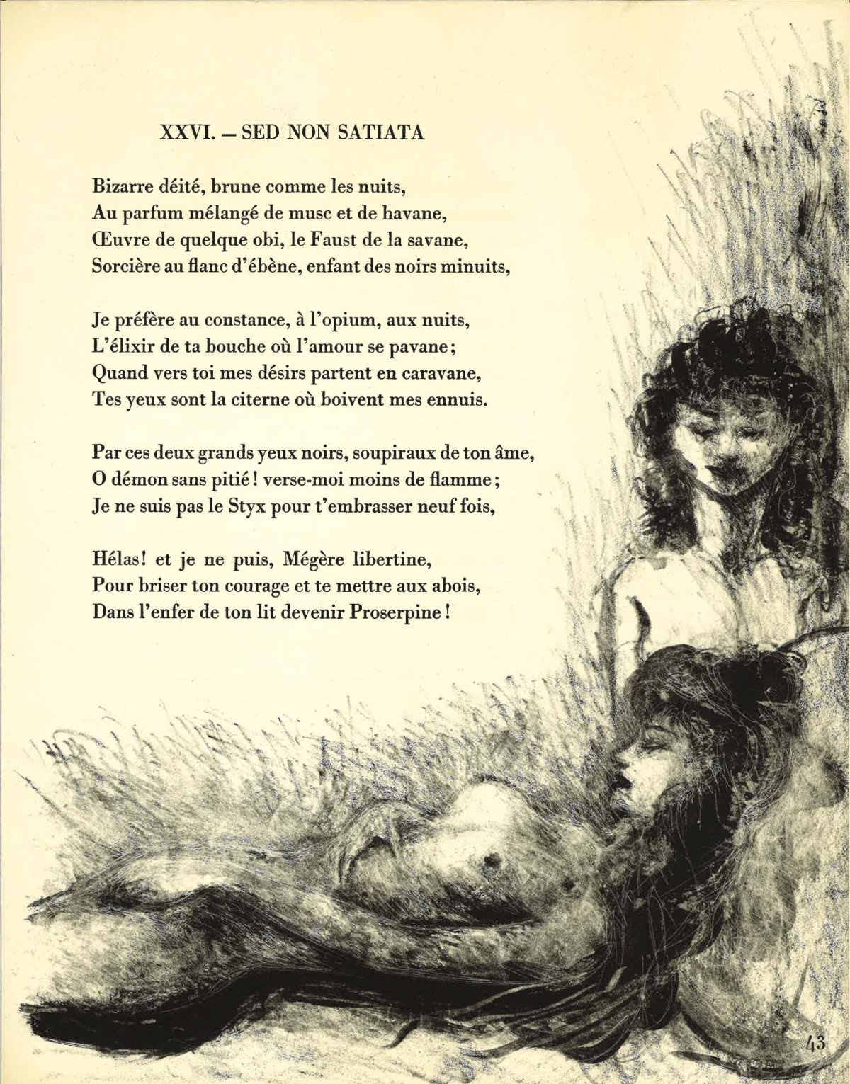 Pagina 49