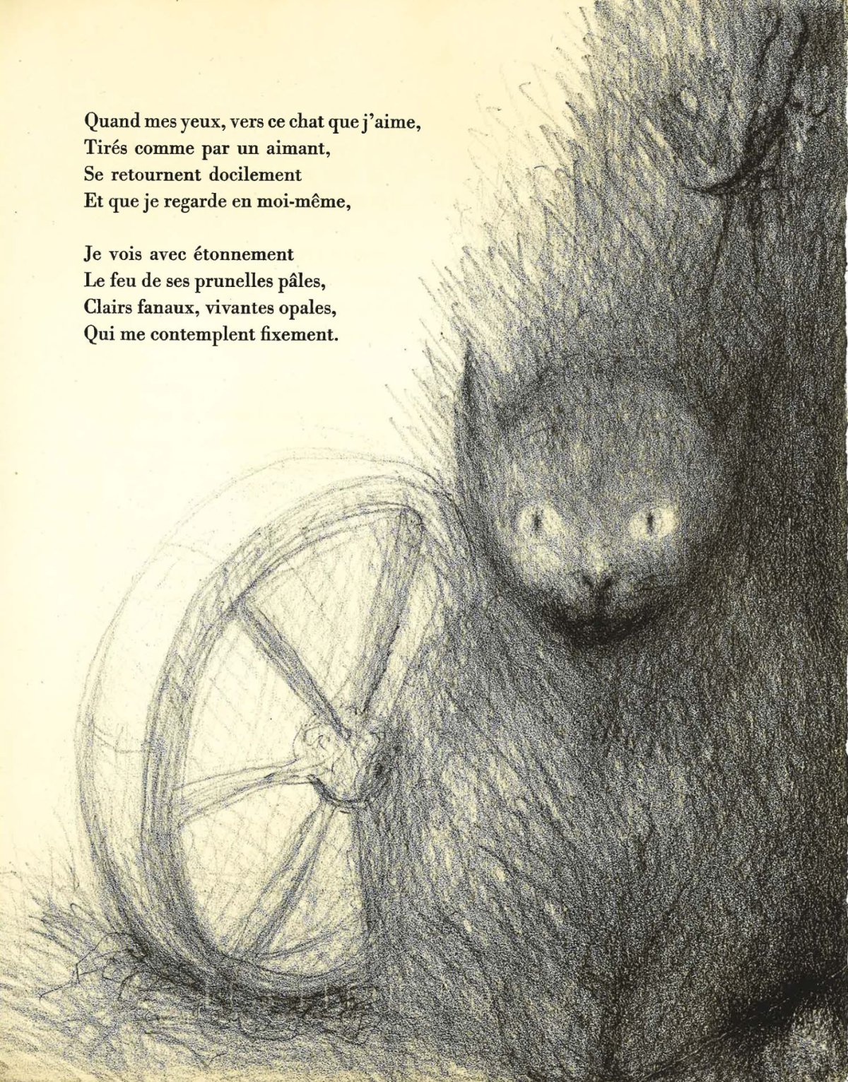 Pagina 93