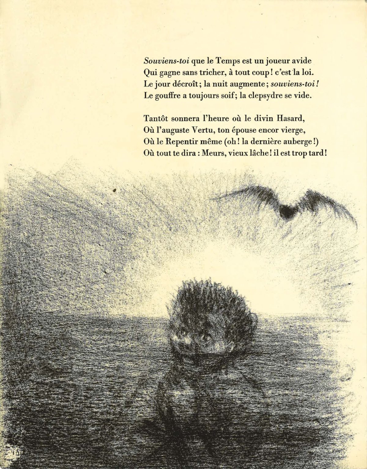 Pagina 146