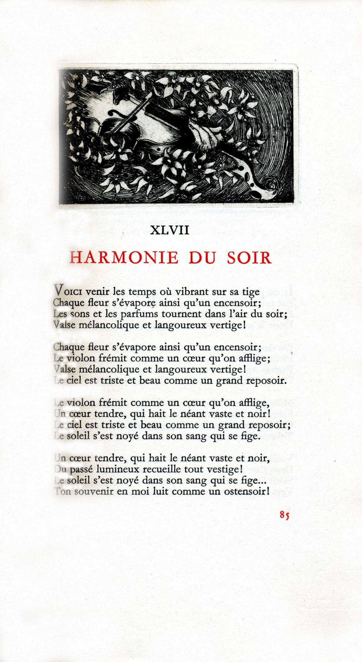 Pagina 17