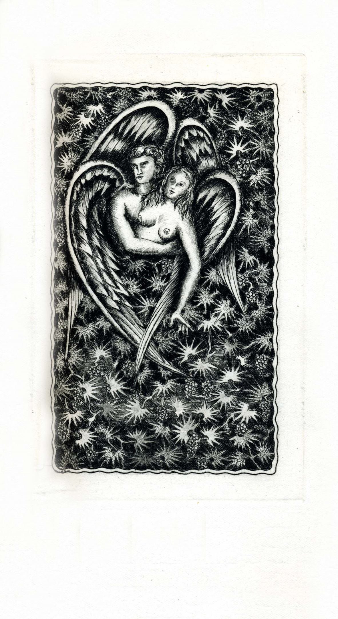 Pagina 31