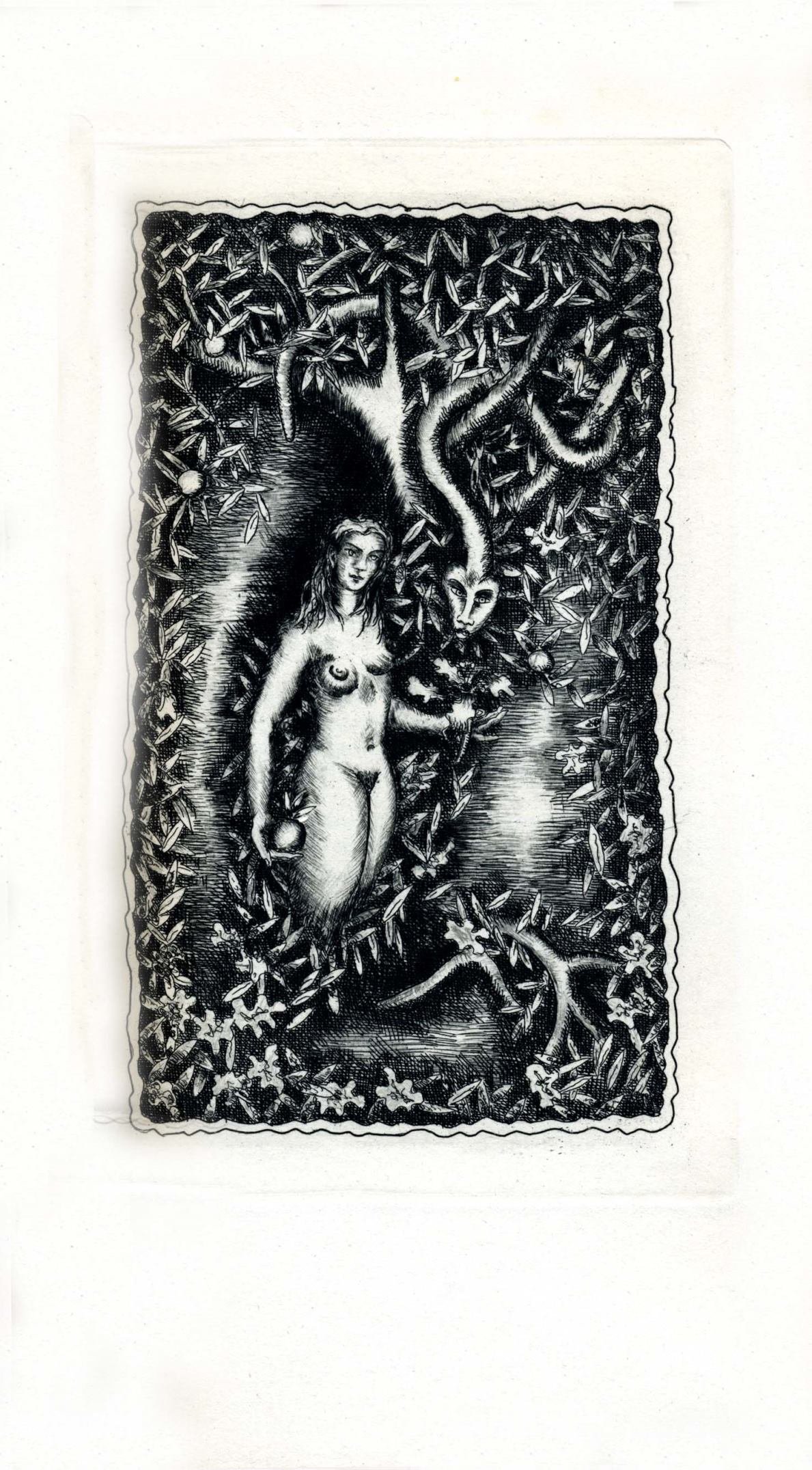 Pagina 33