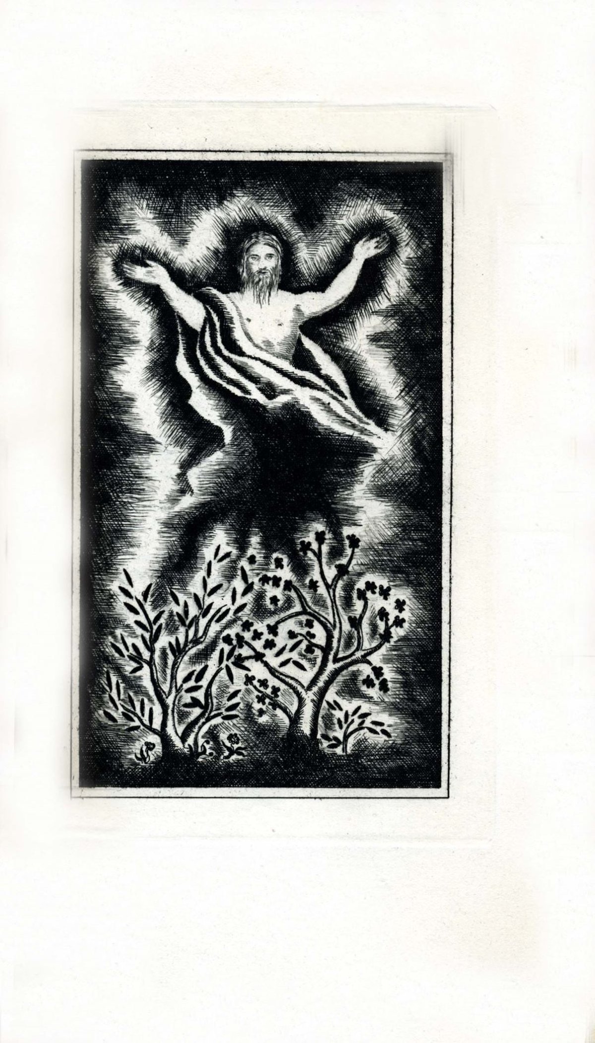 Pagina 47