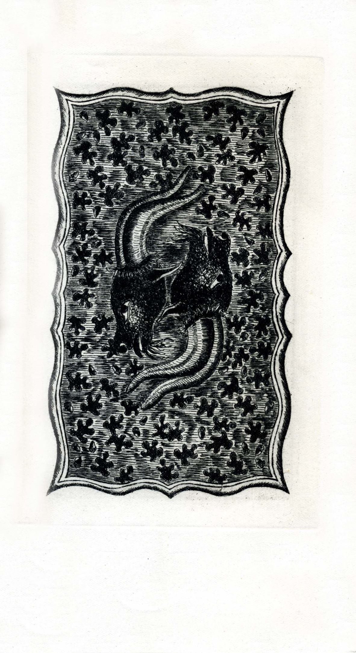 Pagina 61
