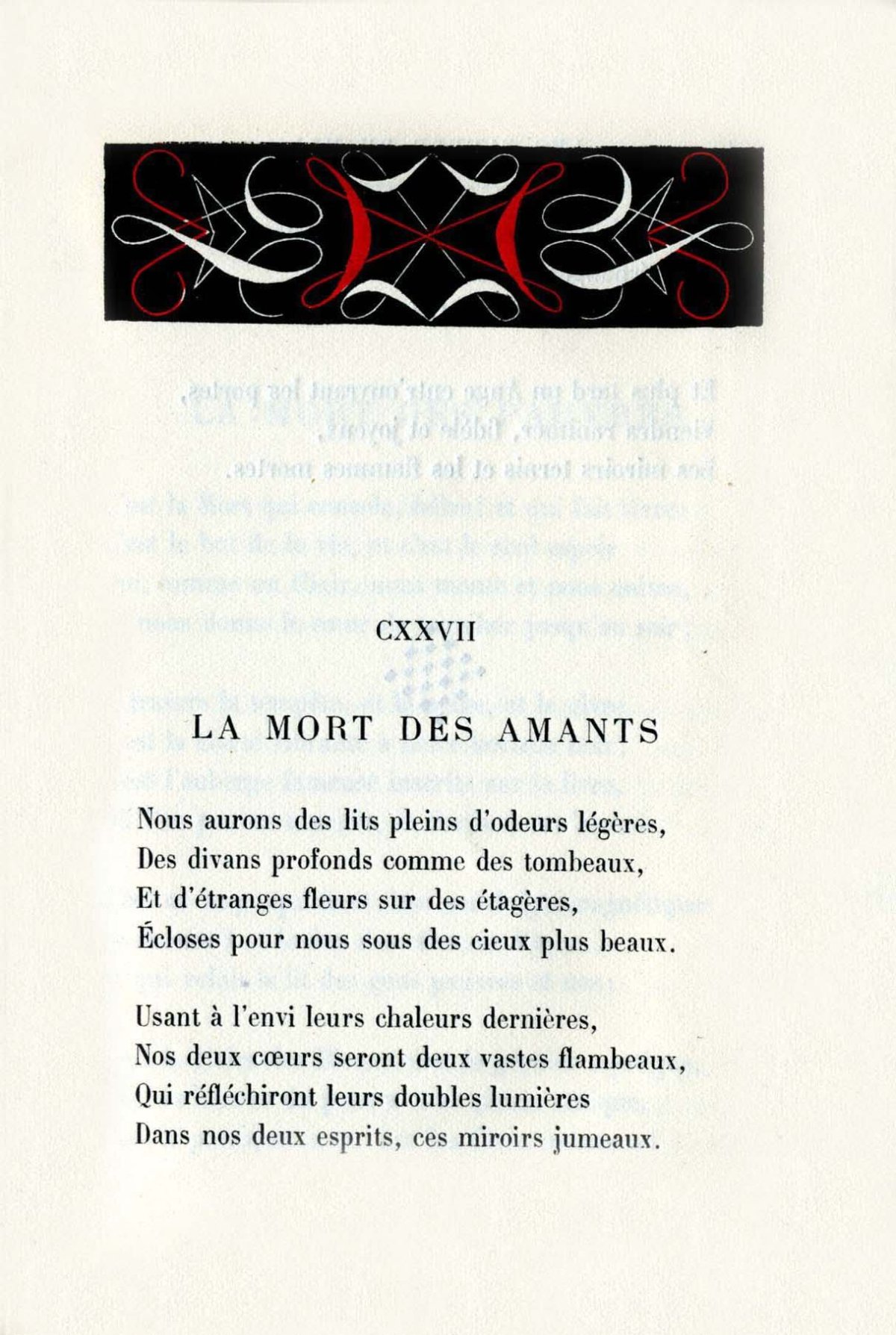 Pagina 19