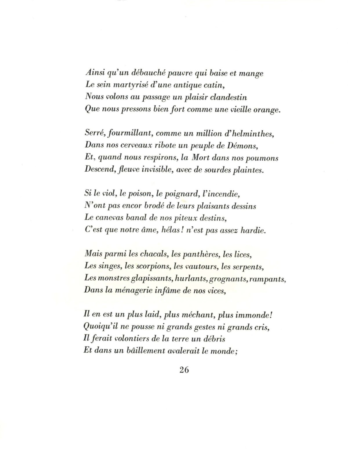 Pagina 6