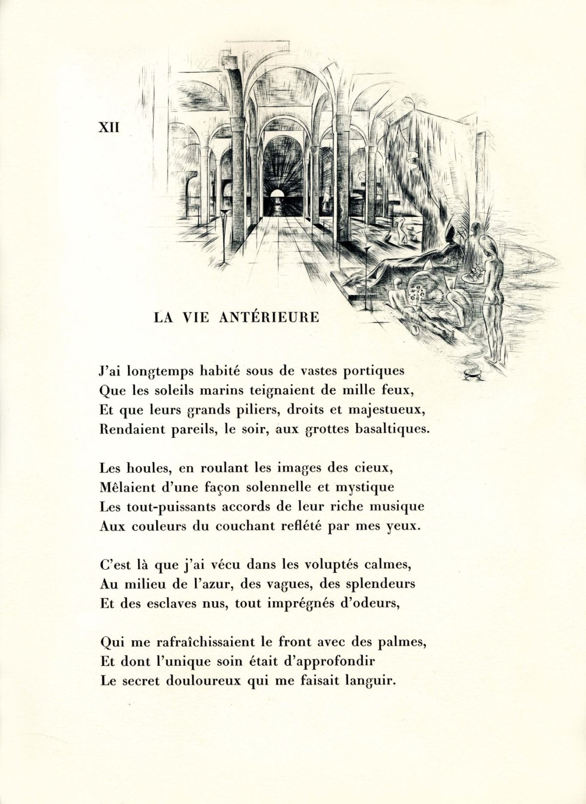 Pagina 28