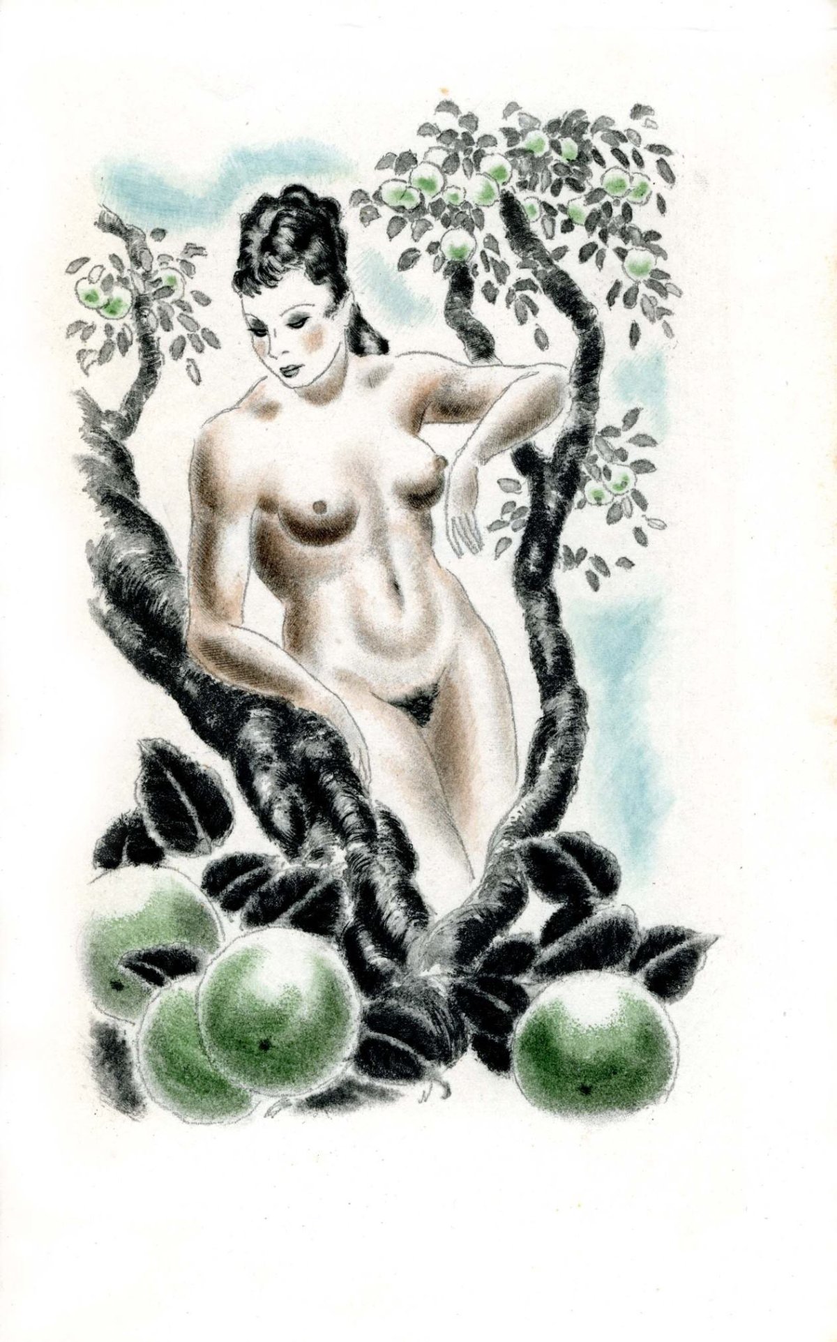 Pagina 61