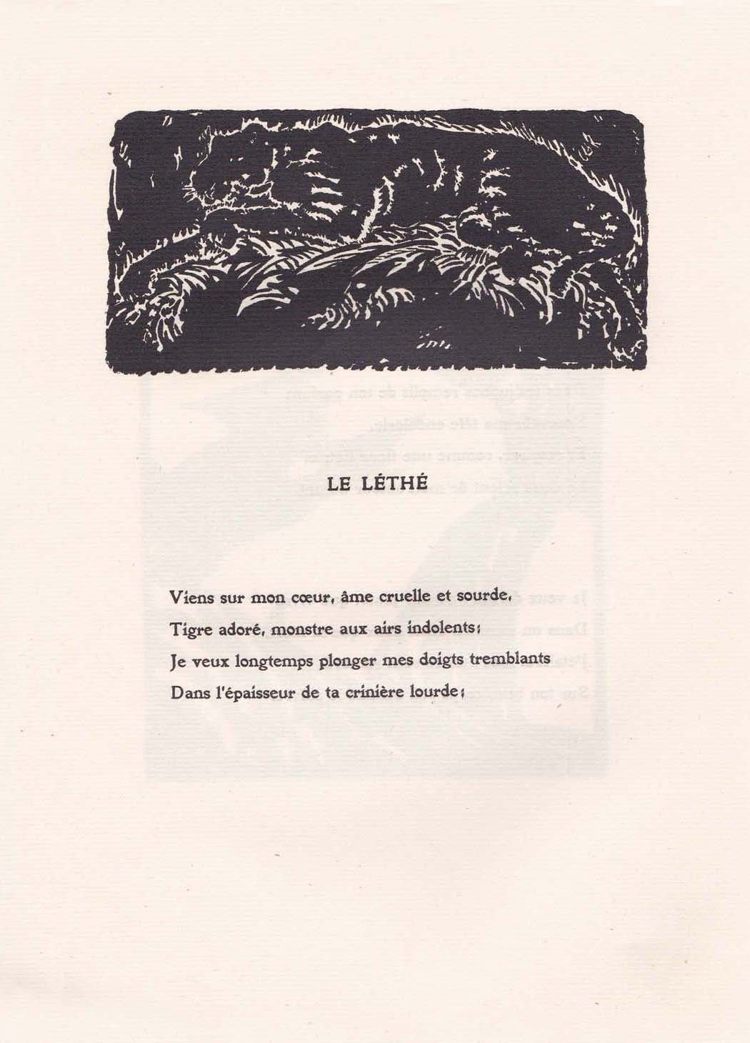 Pagina 11