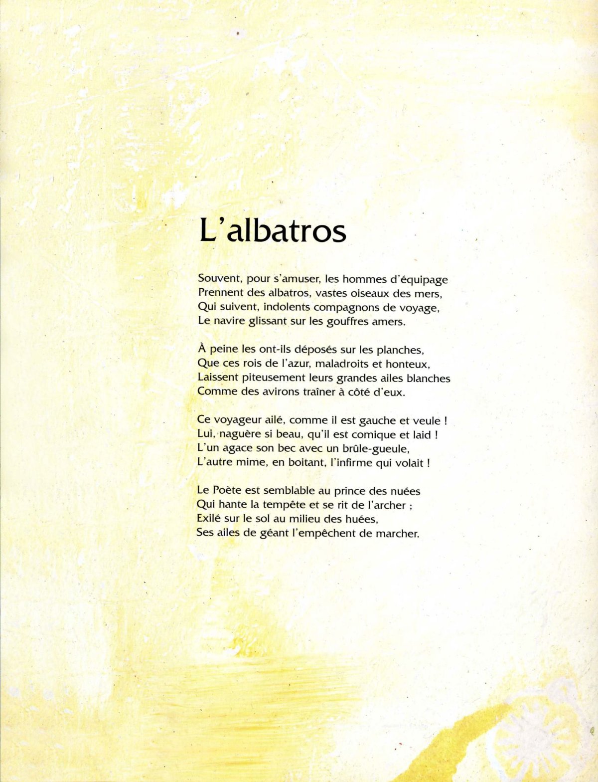 Pagina 7