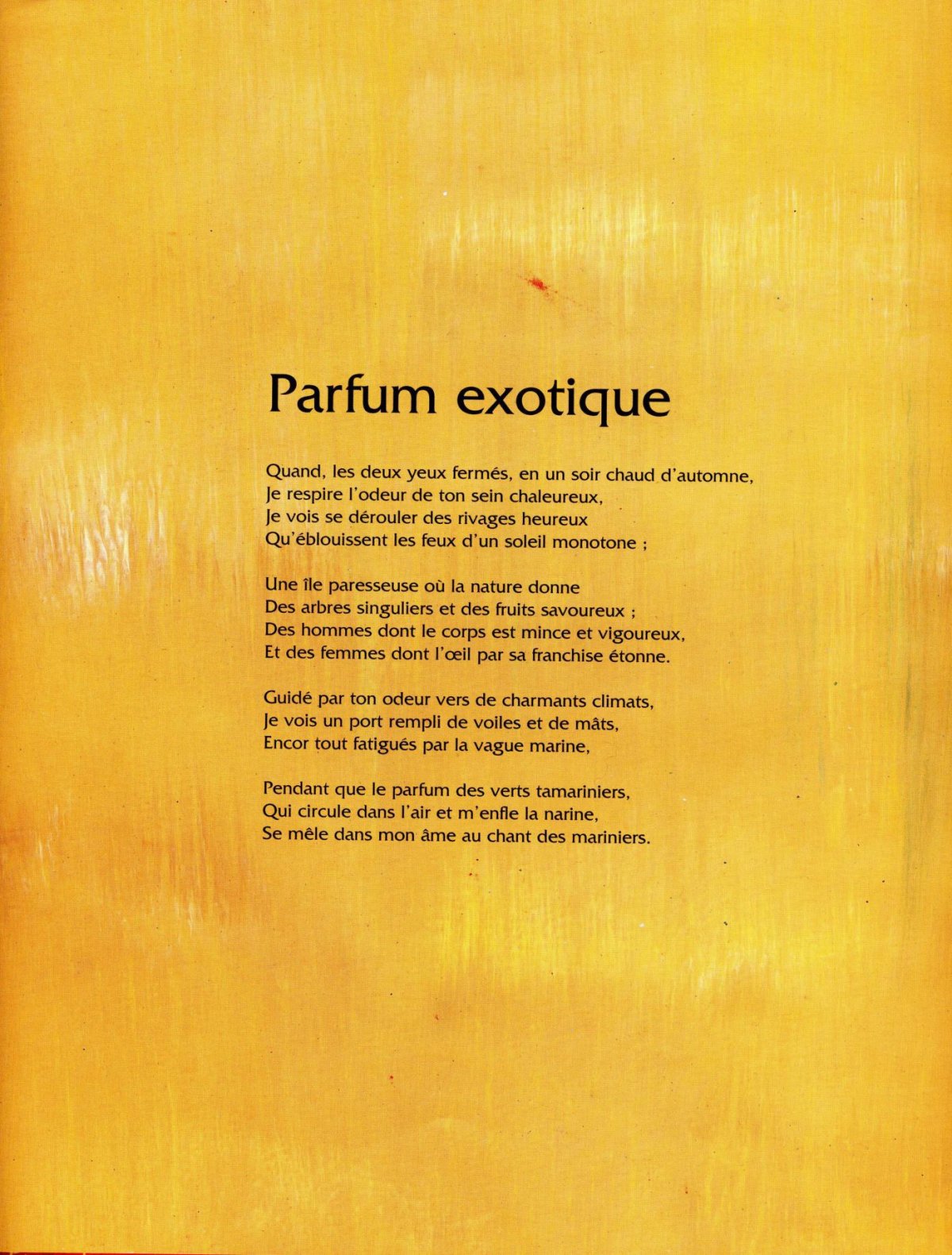 Pagina 19