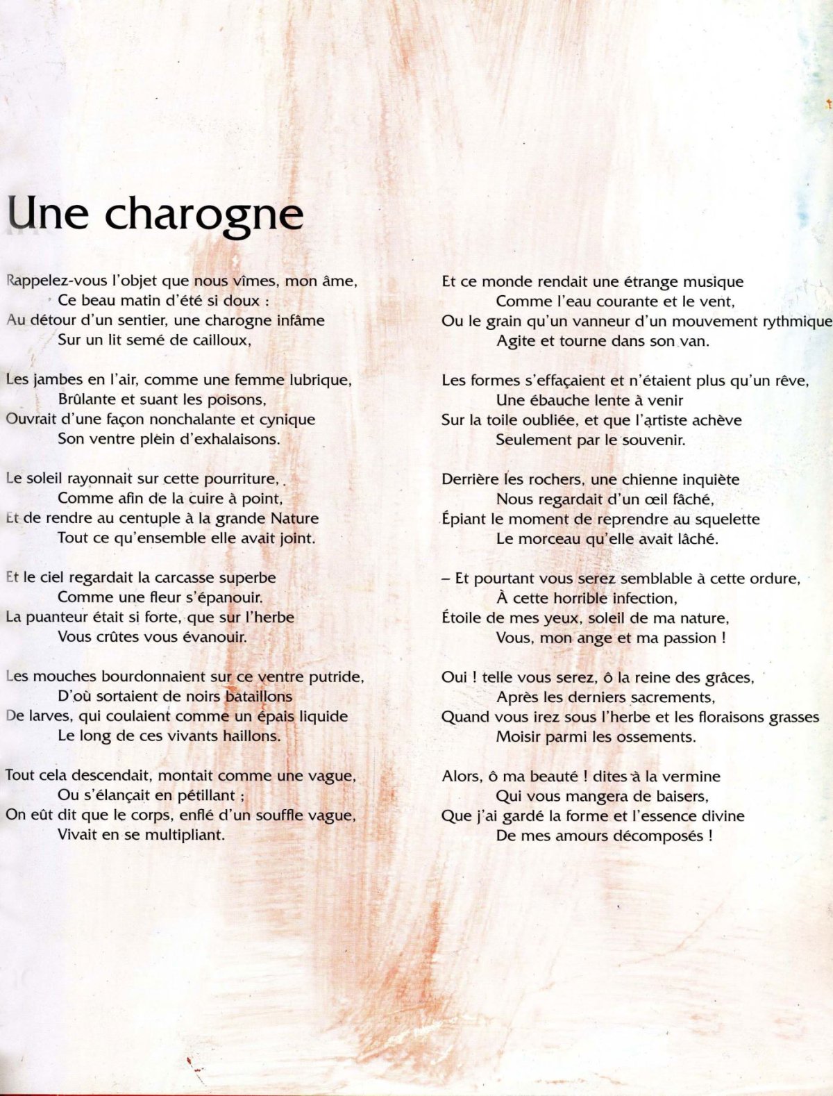 Pagina 23