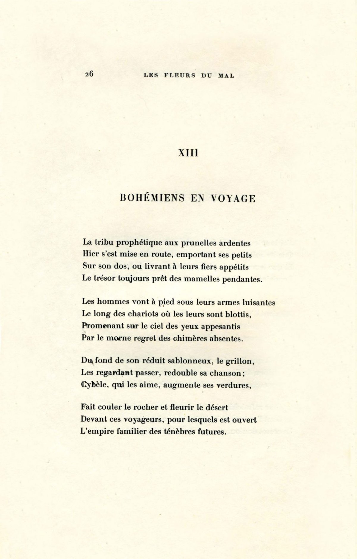 Pagina 8