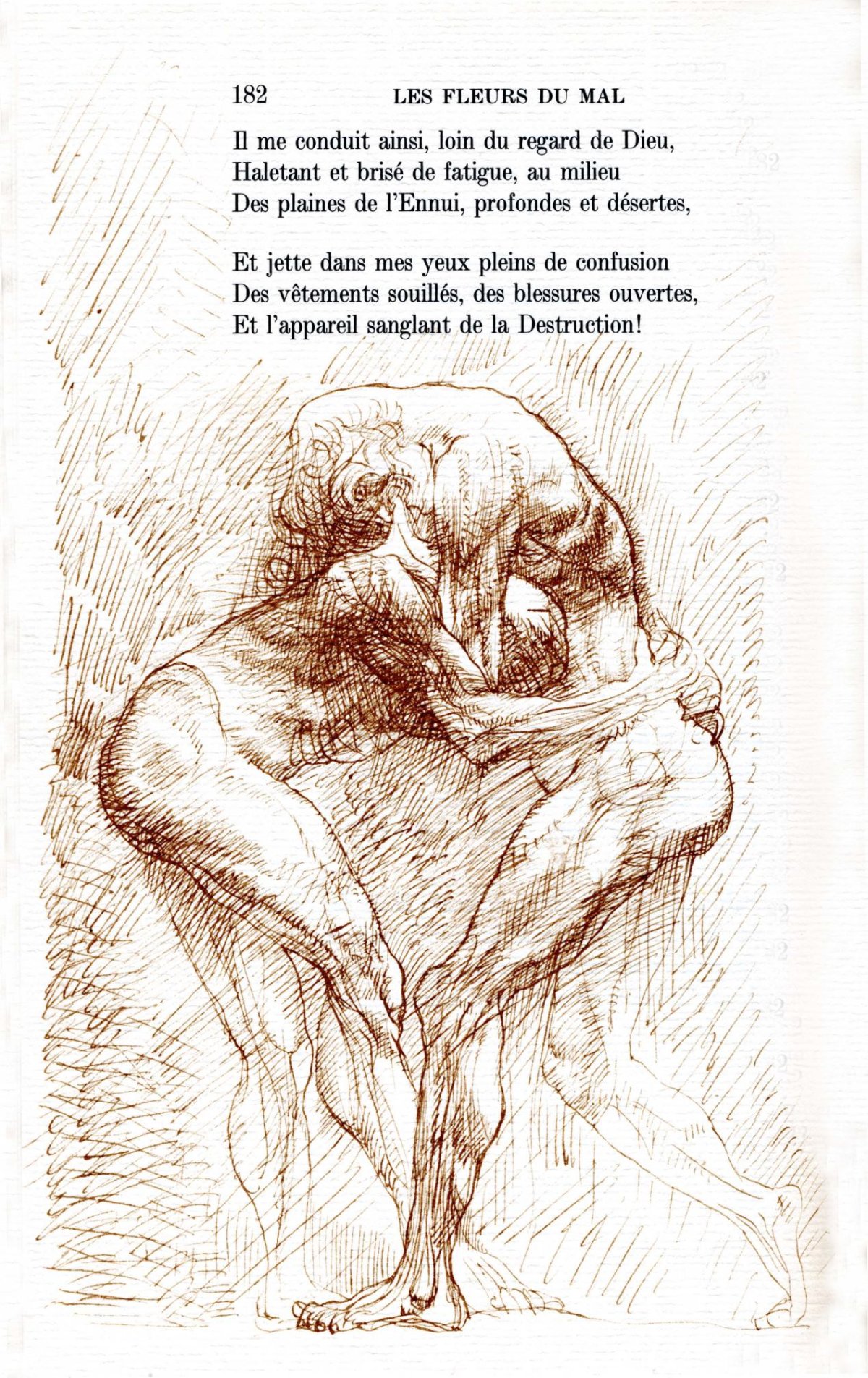 Pagina 36
