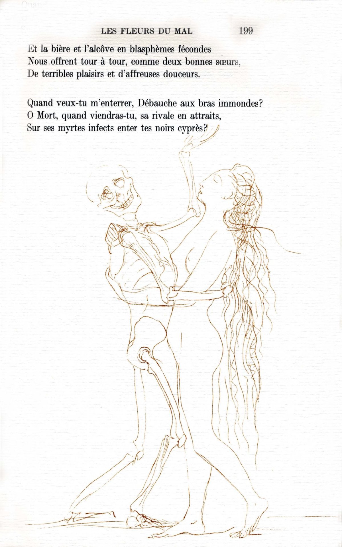 Pagina 41