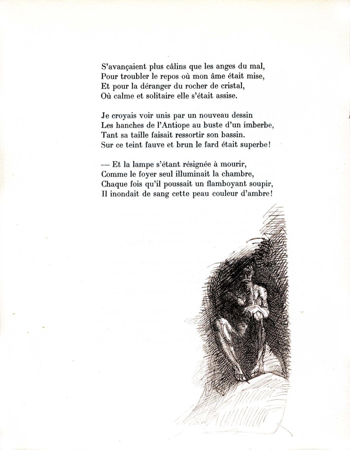 Pagina 41
