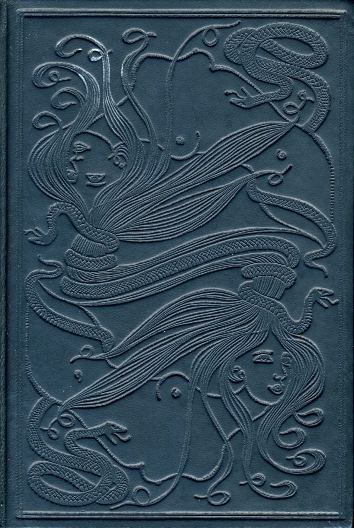 Cover Rops