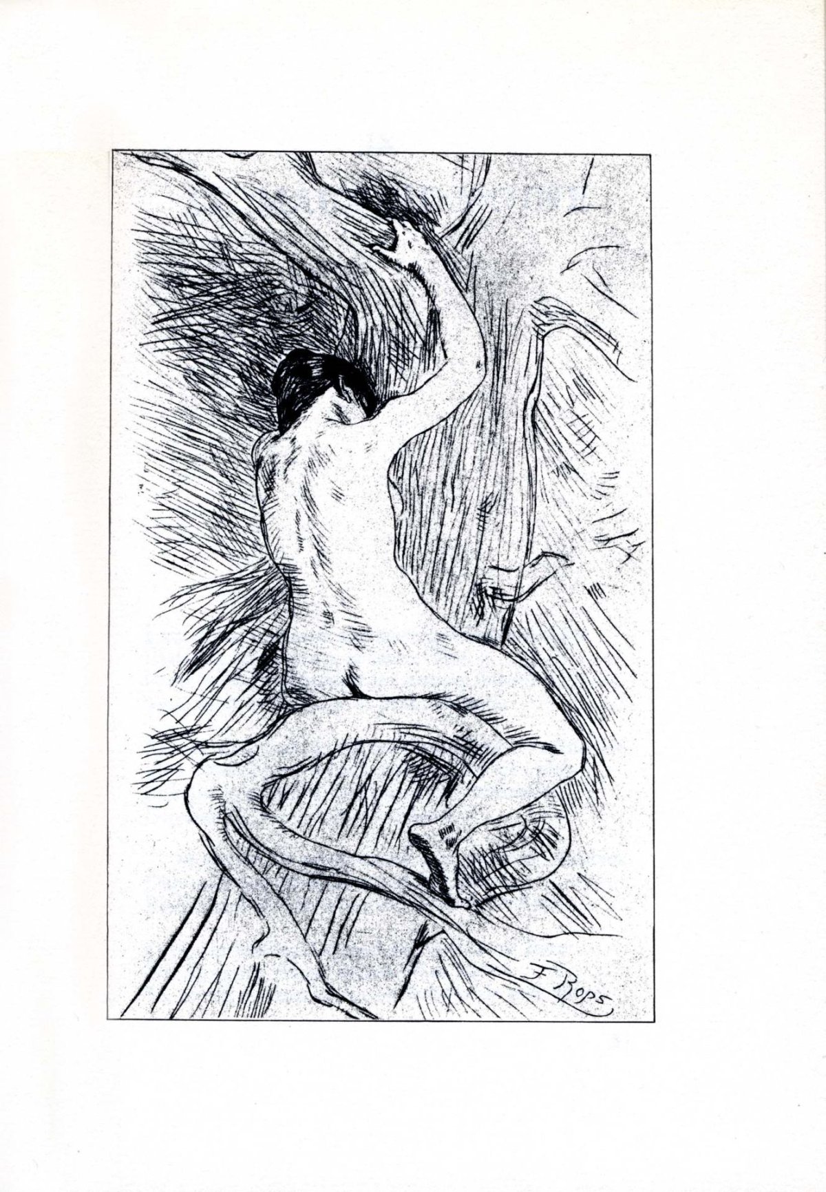 Pagina 13