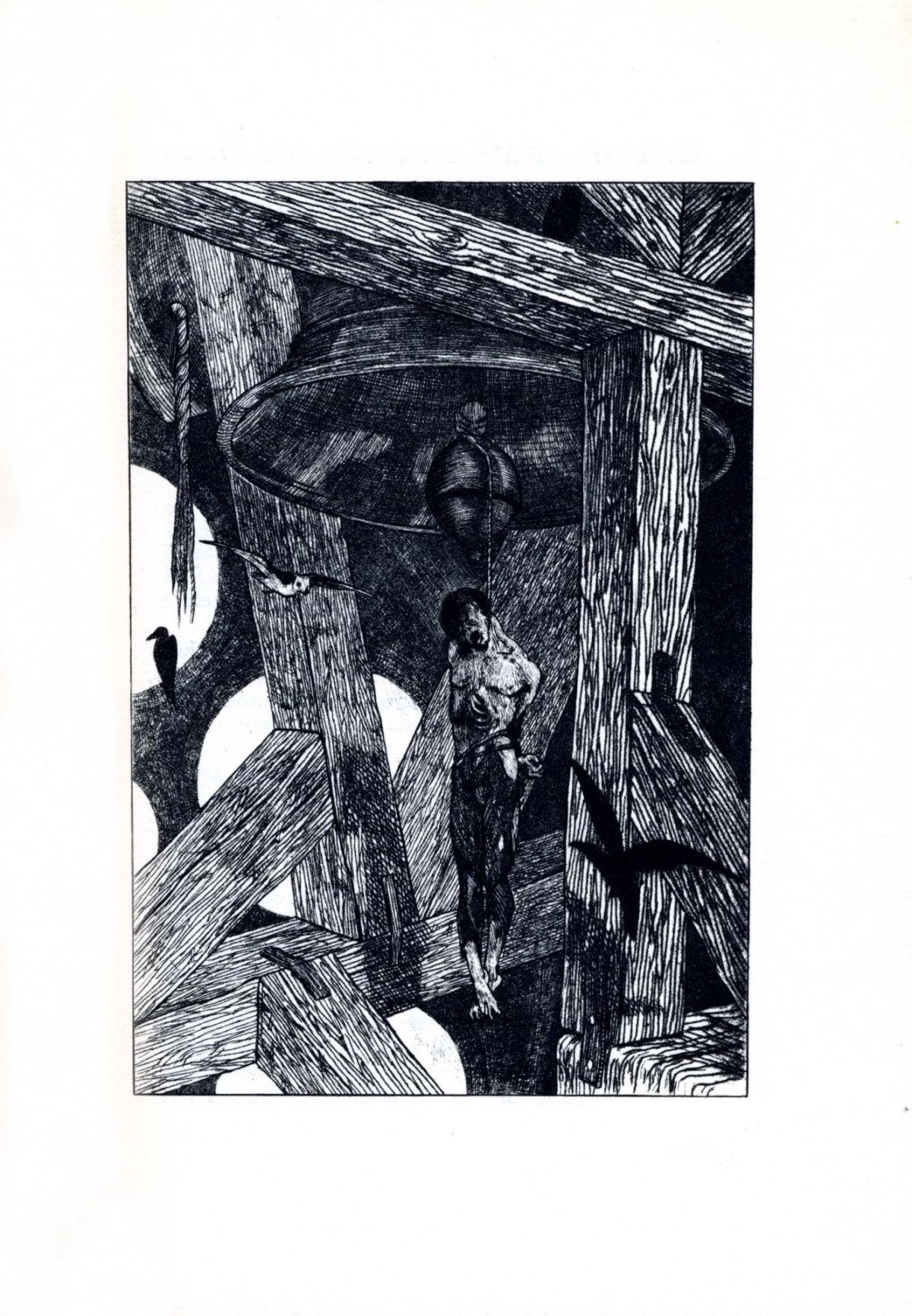 Pagina 51