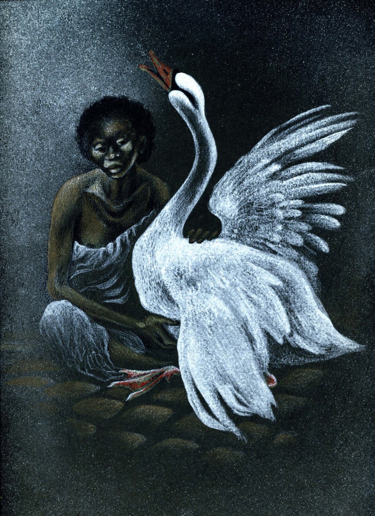 Pagina 27