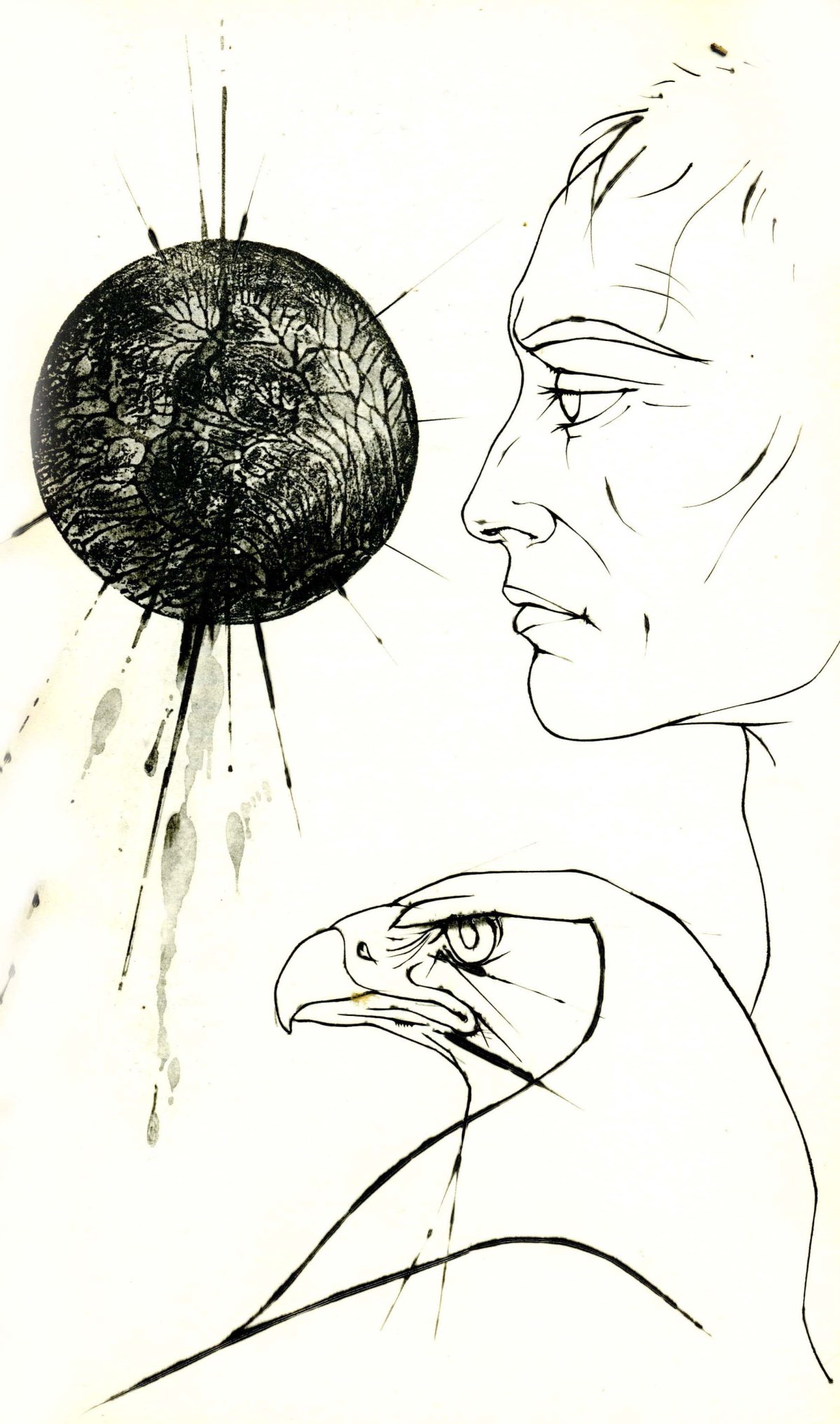 Pagina 13