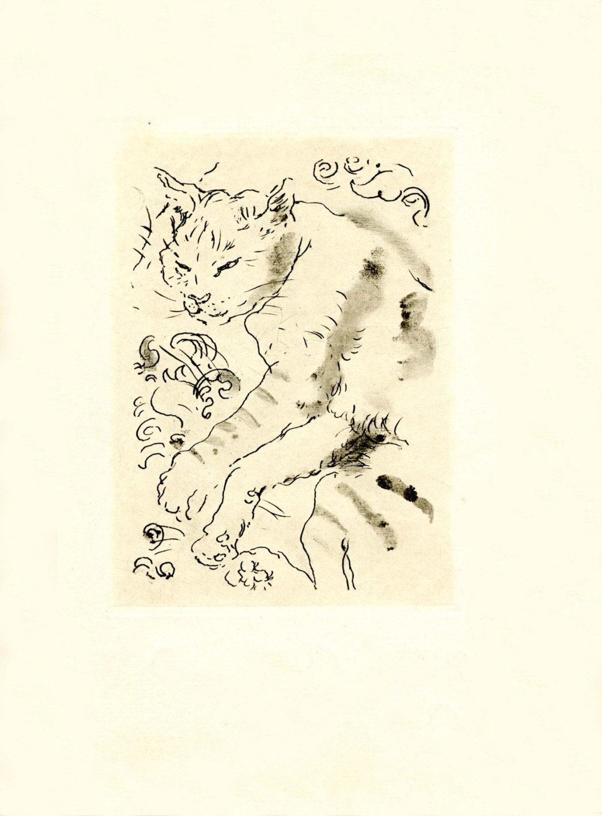 Pagina 9