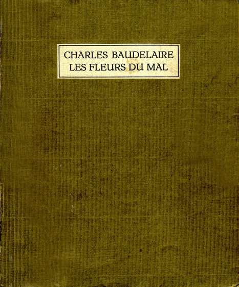 Cover Zilverdistel