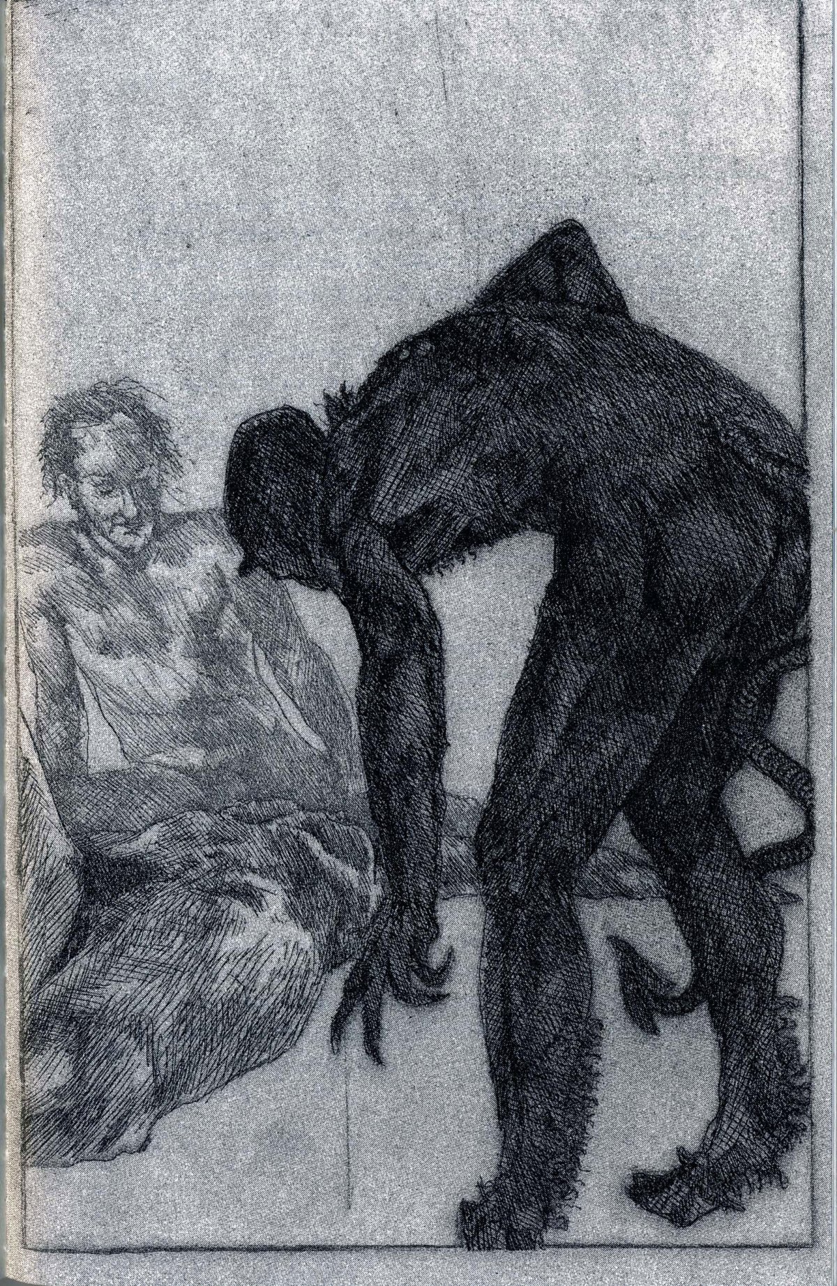 schorr